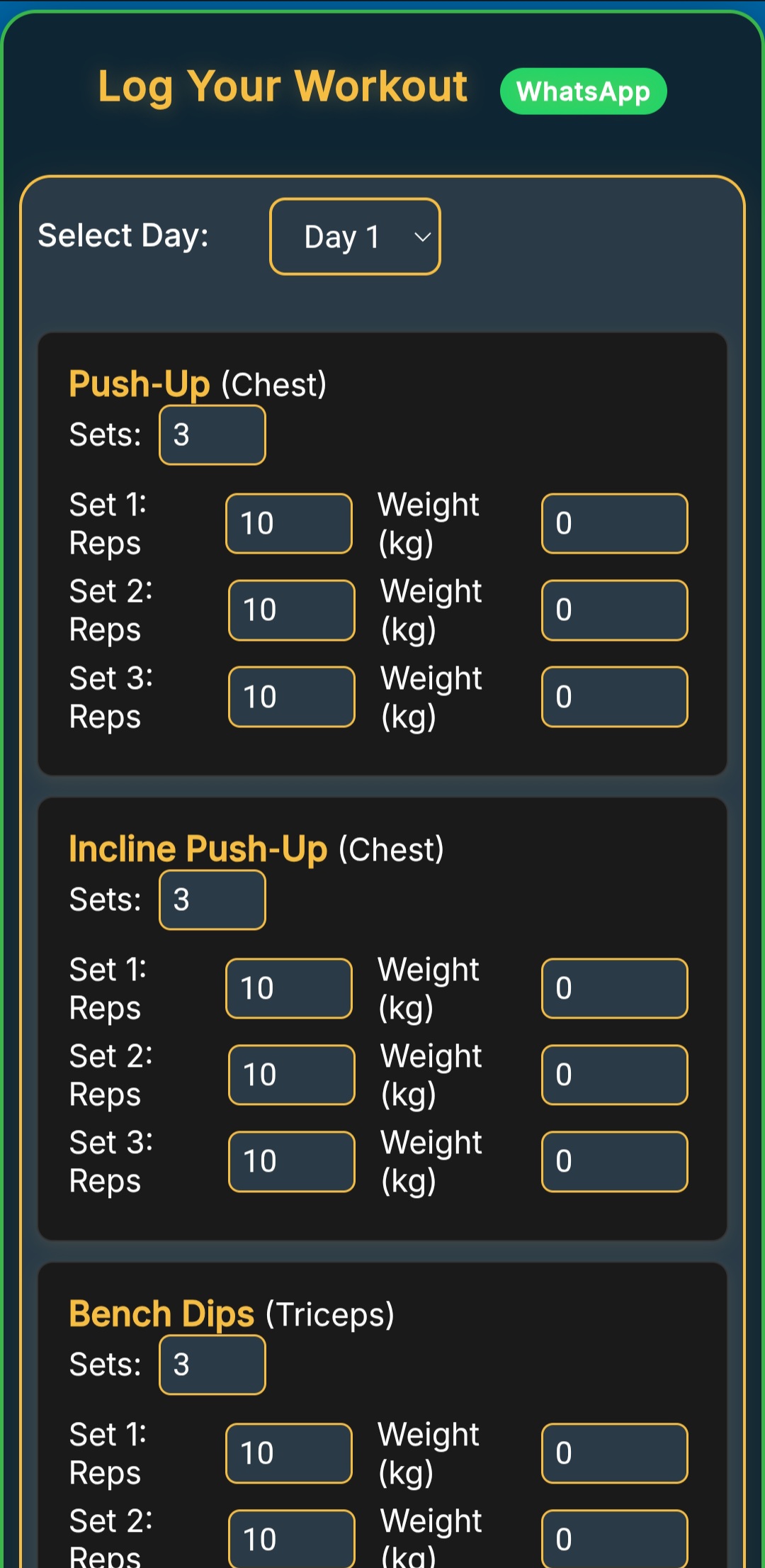 Workout tracking interface